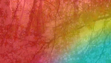 animación de luz colorida sobre el bosque y las hojas