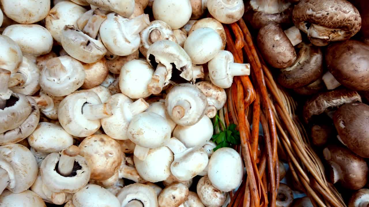 Panorering til højre over friske, hvide svampe, der er udstillet i store mængder på et fødevaremarked, naturlige teksturer og økologiske produkter