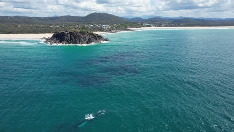 Ballenas-Jorobadas-Nadando-En-El-Océano-Pacífico-Sur-Cerca-Del-Promontorio-De-Norries-En-Nsw,-Australia