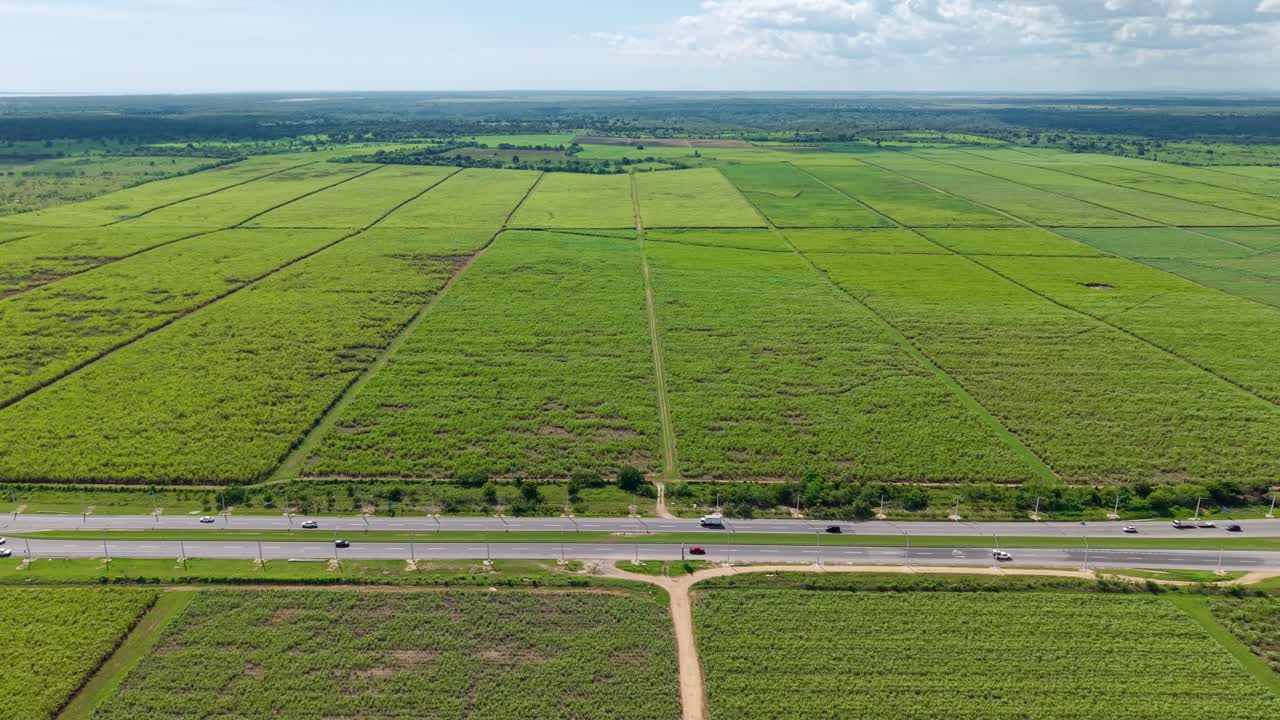 Aerial lateral of green cultivated fields in Dominican Republic island and traffic on coral highway. Sunny summer day in idyllic scenic landscape