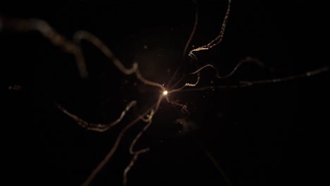 cosmic particle collision simulation vfx