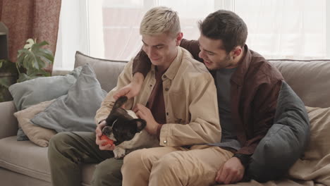 two young caucasian men playing with dog at home