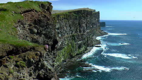 Beautiful,-green-cliffs-in-Latrabjarg-promontory-over-Atlantic-Ocean-in-the-Westfjords-of-Iceland---the-westernmost-point-in-Iceland