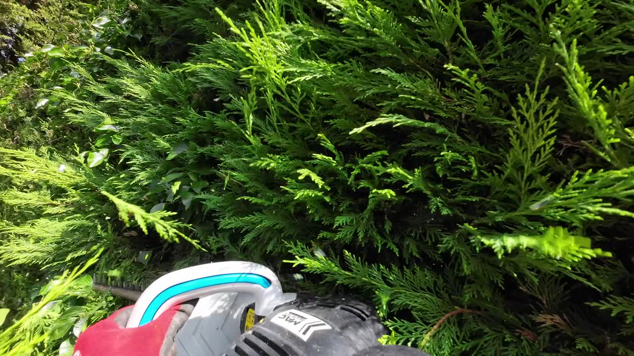 vista de chestmount de un cortador de setos cortando un seto en un día soleado