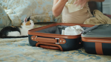 woman folds clothes in a suitcase a kitten sits next to and watches her