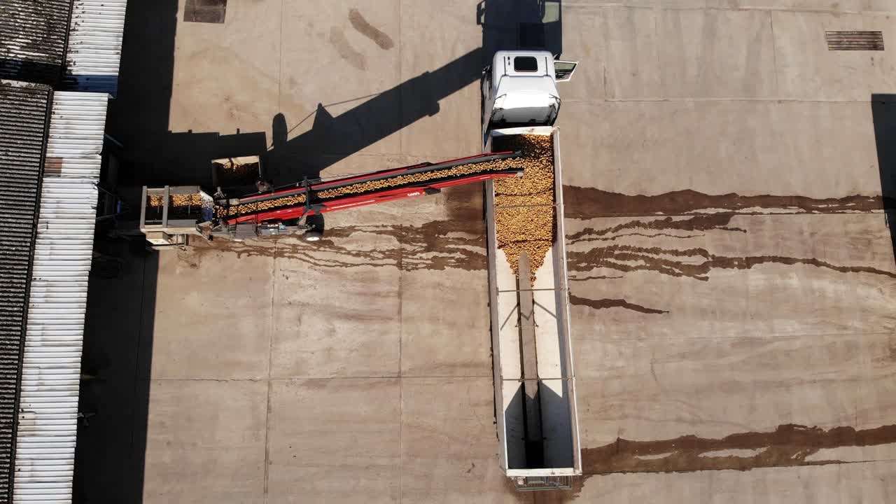 Aerial view of loading potatoes with a grader on a farm in England