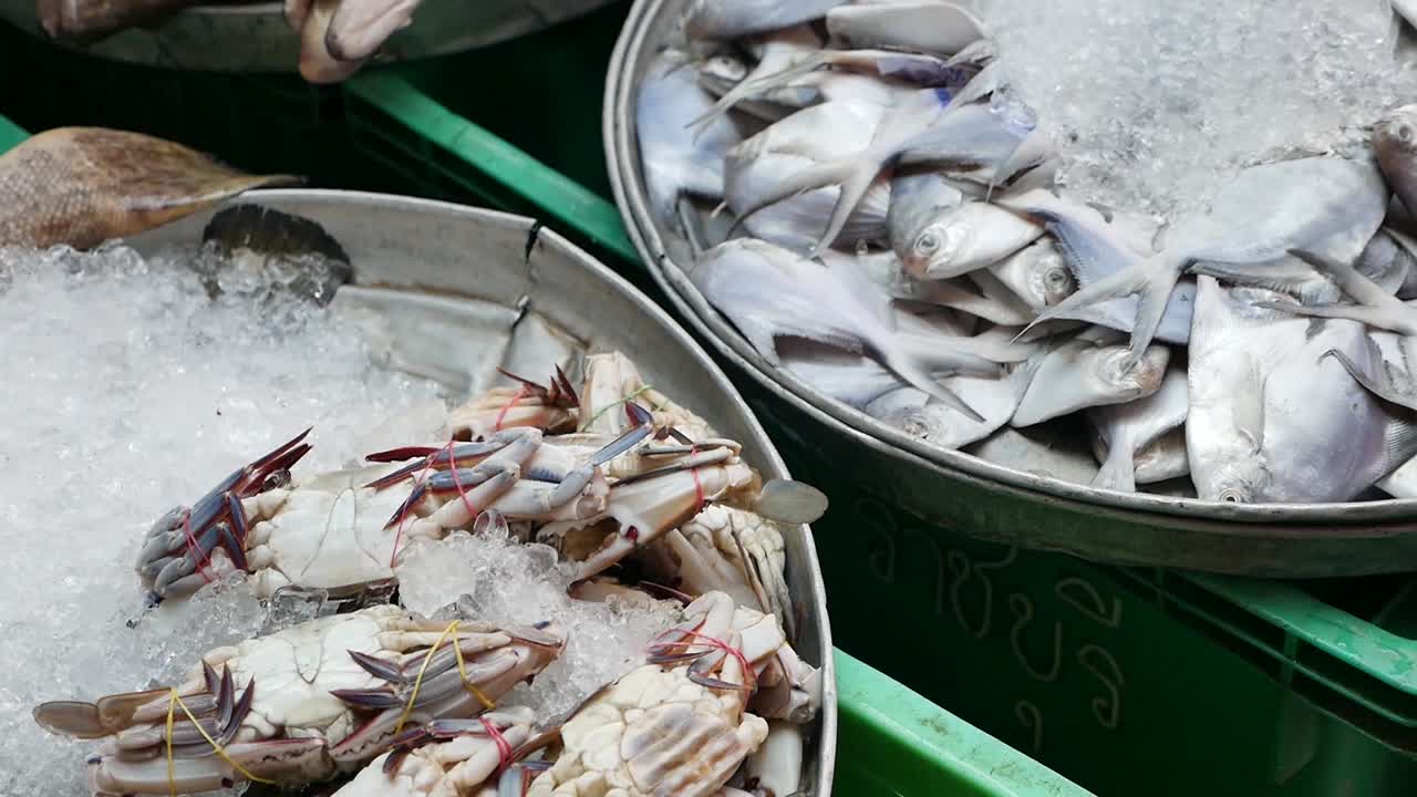 mariscos frescos en el mercado de pescado, tailandia