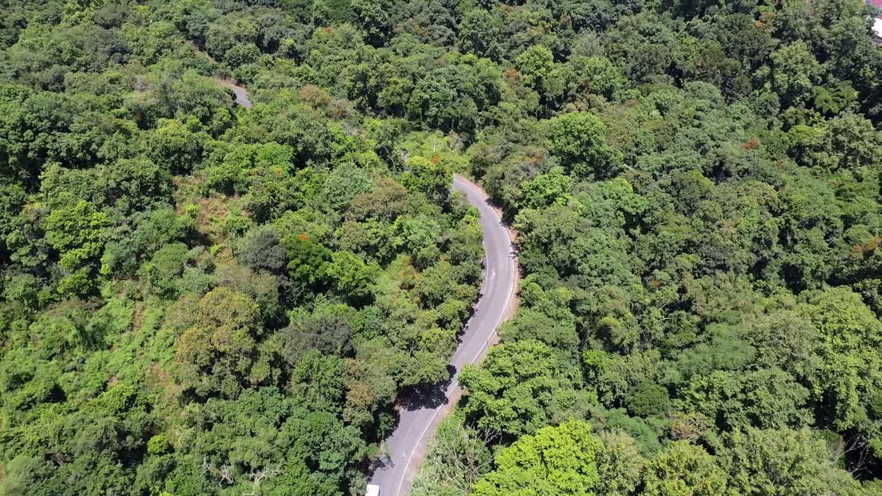 drone aéreo hacia adelante inclinación hacia abajo tiro de una carretera rodeada de denso bosque en américa viajando durante el día 4k imágenes