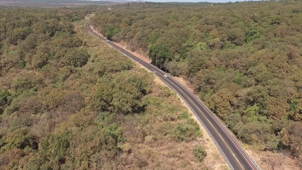 AERIAL SHOT-ROAD IN FOREST