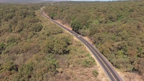 aerial shot-road in forest