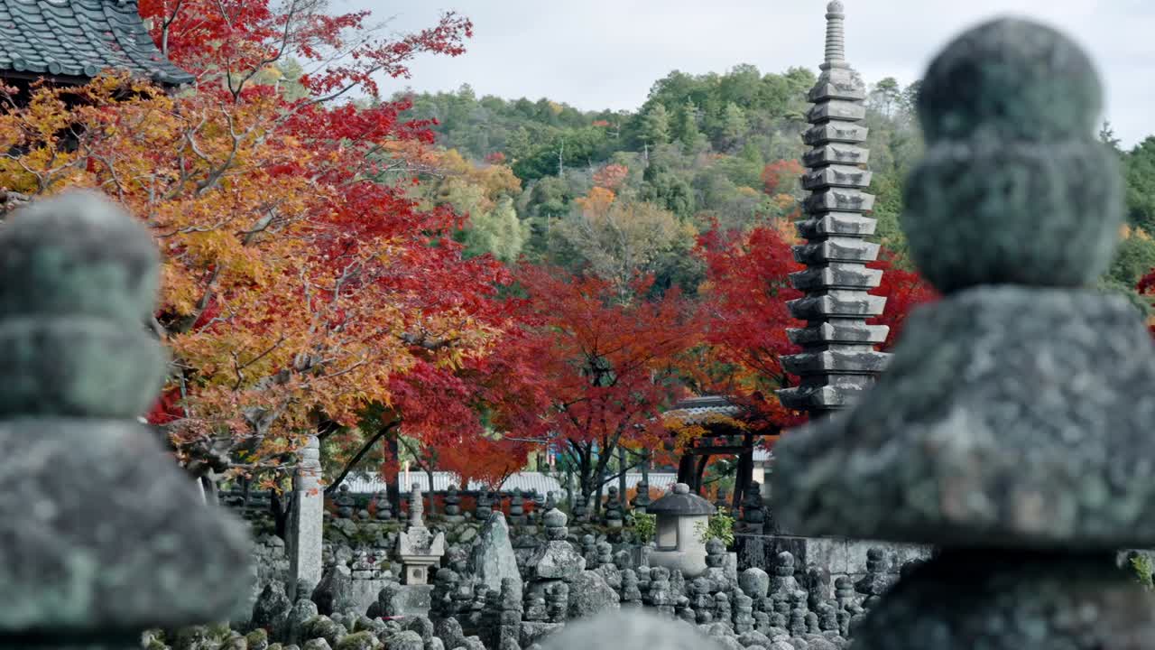 A stunning view of a traditional temple in Arashiyama, Kyoto, surrounded by vibrant red and orange autumn foliage.