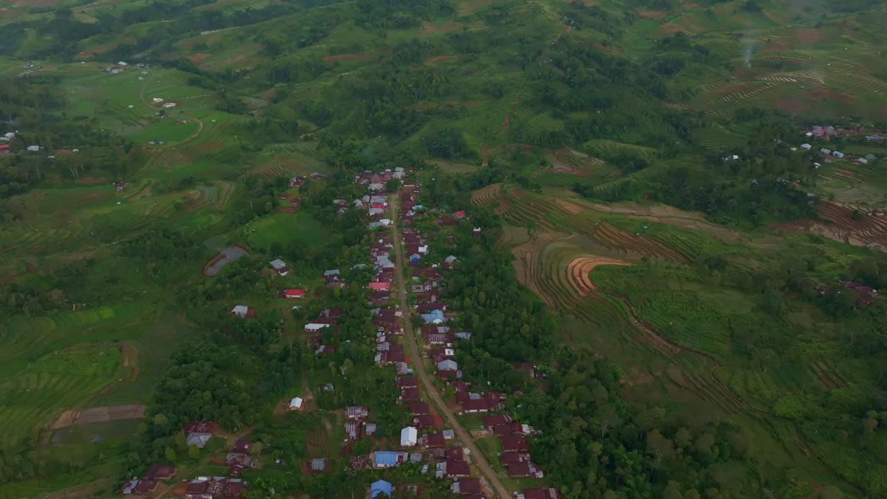Teras sawah yang tersinari matahari dengan rumpun palem dan desa saat senja, Flores, Indonesia