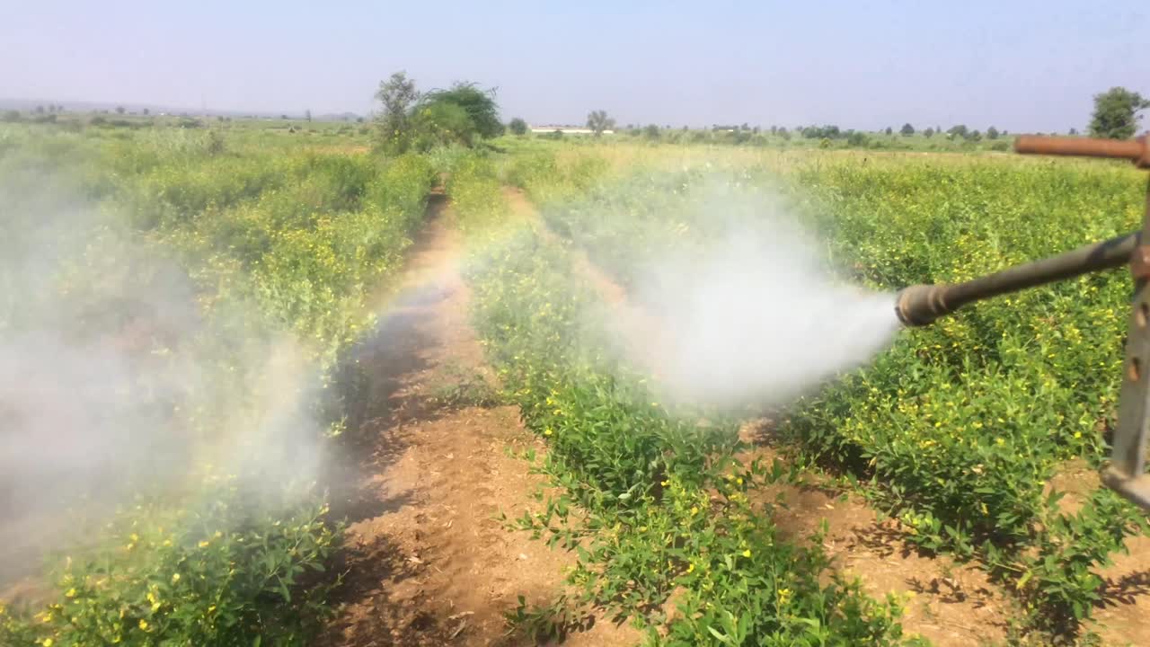 Trator agrícola com pulverizador de culturas aplicando pesticidas em plantas de feijão-mungo na Índia.
