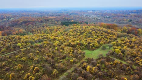 flying over an autumnal valley in the northeastern united states