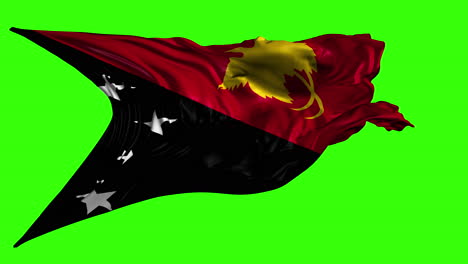 flag of papua new guinea