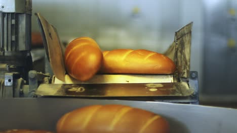 Brot-Auf-Dem-Förderband.-Produktionslinie-In-Der-Brotfabrik