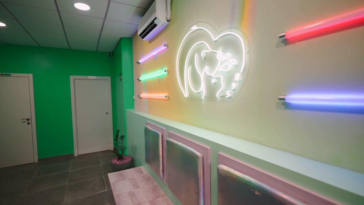 Modern Interior Hallway with Neon Dog Sign and Colorful Fluorescent Lights