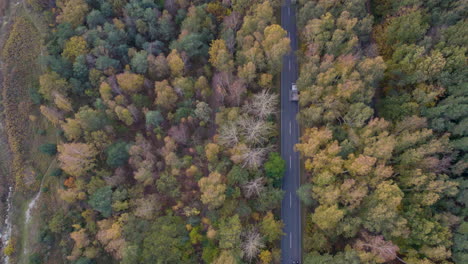 vista de pájaro de una carretera que atraviesa los bosques de otoño, península de hel