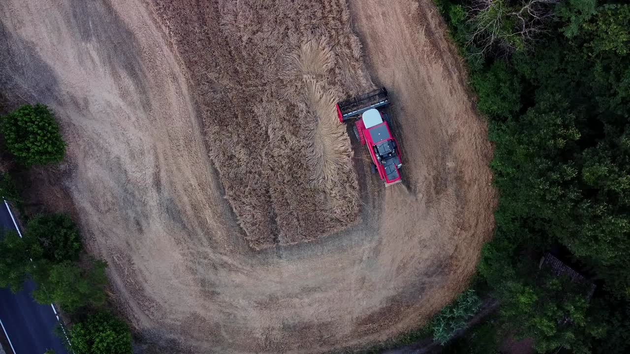 작은 들판에서 밀을 수확하는 붉은 탈곡기, 위에서 아래로 보기