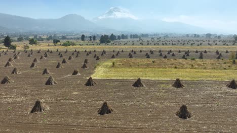 volcanic landscape with harvested fields