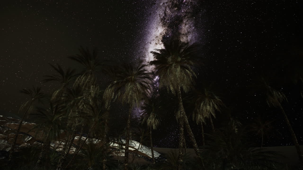 Splendido cielo notturno con la Via Lattea e palme in un tranquillo paesaggio desertico.