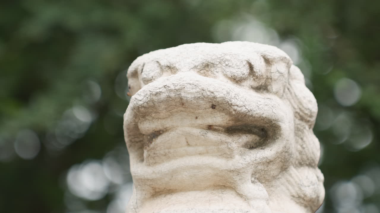 Weathered lion statue closeup shows textured face and carved mane against blurred leaves, conservator inspecting surface, dramatic tonal contrast, cinematic bokeh, gritty stone detail, solemn mood