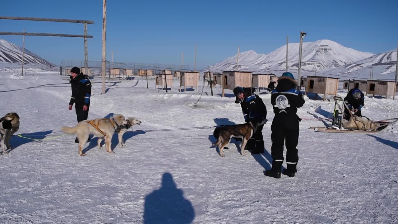 dogsledding base camp in arctic tundra svalbard