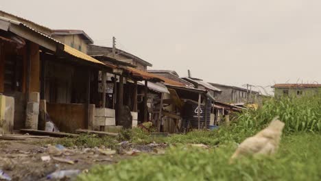 nigeria slum 08