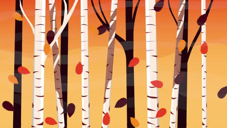 autumn birch forest