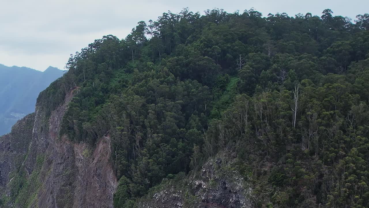 Stunning aerial view of Madeira's lush greenery along the cliffs