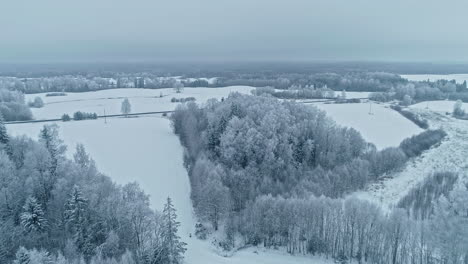 Vista-Aérea-Del-Paisaje-En-Invierno