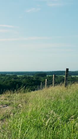a grassy hillside with a fence overlooking a vast forest landscape