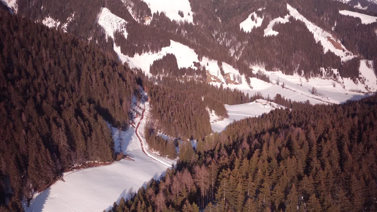 un vuelo sobre un bosque en austria con un movimiento pan-tilt hacia abajo