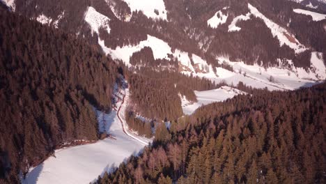 Ein-Flug-über-Einen-Wald-In-Österreich-Mit-Einer-Schwenk-Neige-Bewegung-Nach-Unten