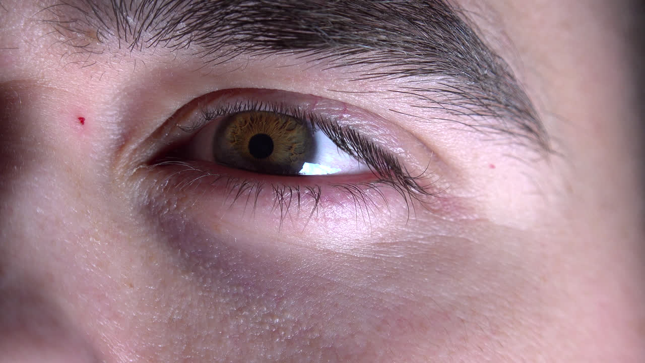 la pupila del ojo reacciona a la luz-1