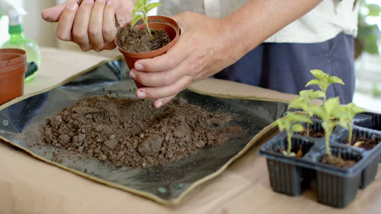 Giardiniere non binario tiene un vaso di terracotta, raccoglie terriccio al tavolo della veranda, sistemando le radici di una piantina.