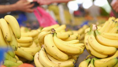 fresh bananas at the market