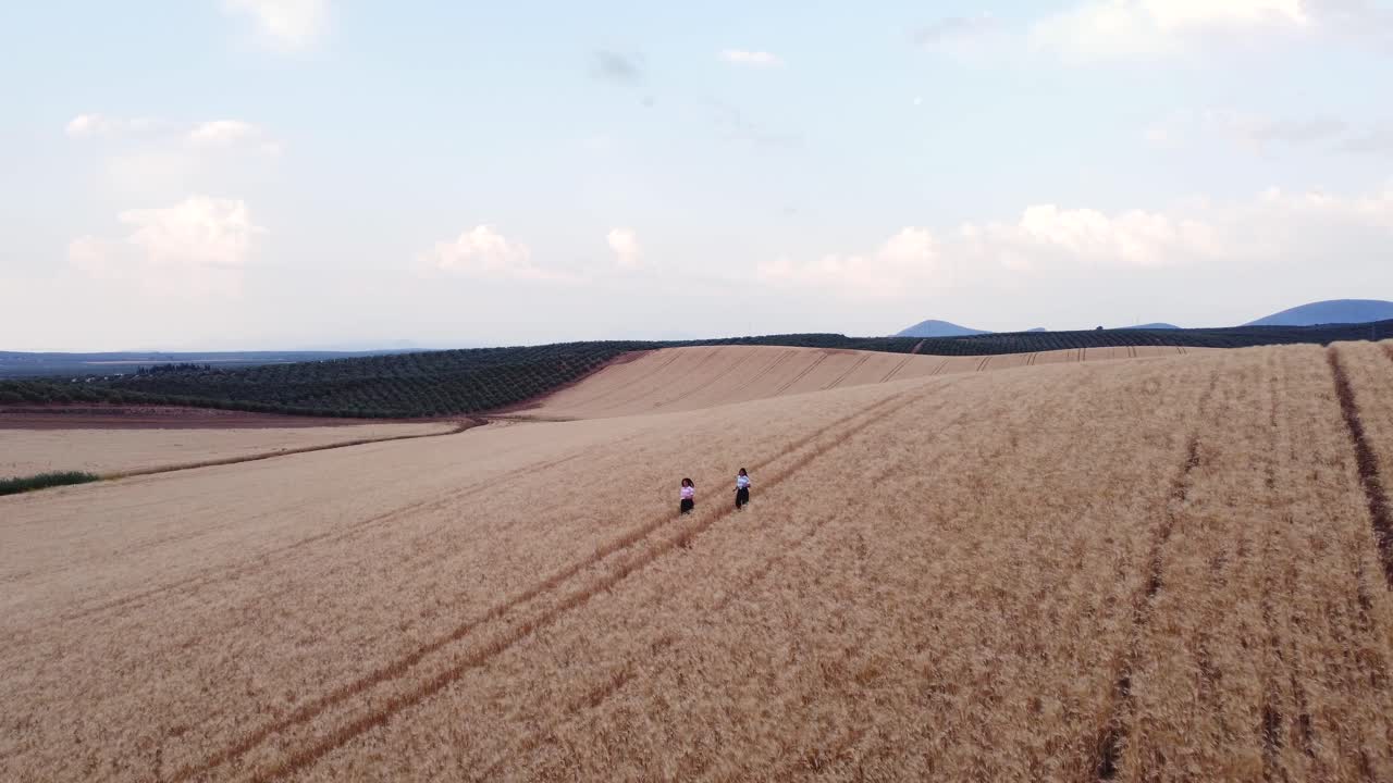 Aerial view of two friends enjoying nature while they walk through a wheat field together.