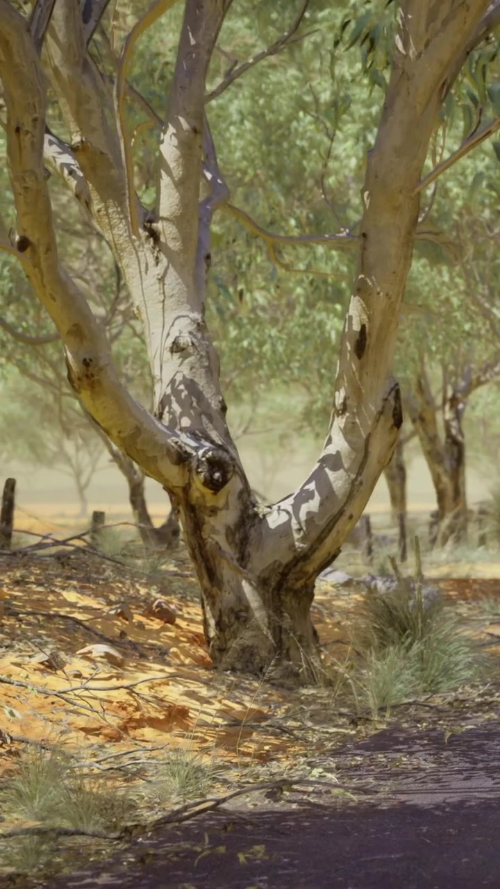 Long tree trunk with branches standing by the road in a rural area