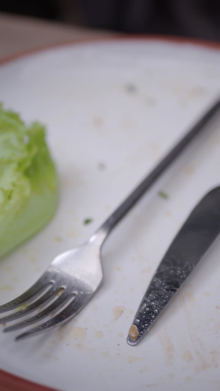 Close Up of Dirty Empty Plate with Fork and Knife After Meal