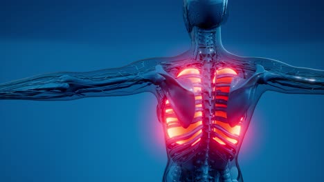 examen radiológico de los pulmones humanos