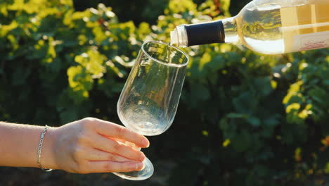 Pouring-White-Wine-Into-Glasses-On-The-Background-Of-The-Vine-Wine-Tasting