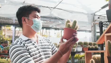 a masked asian man picks up a potted cactus and examines it in bright sunlight inside a greenhouse hothouse garden center