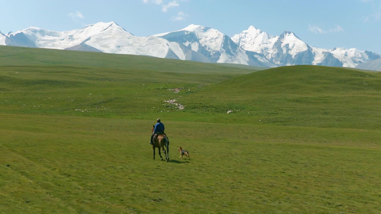 Person rir på hest over et grønt jorde med en gjeterhund i Sary Jaz-dalen, Tian Shan-fjellet, Kirgisistan. – Luftfoto.
