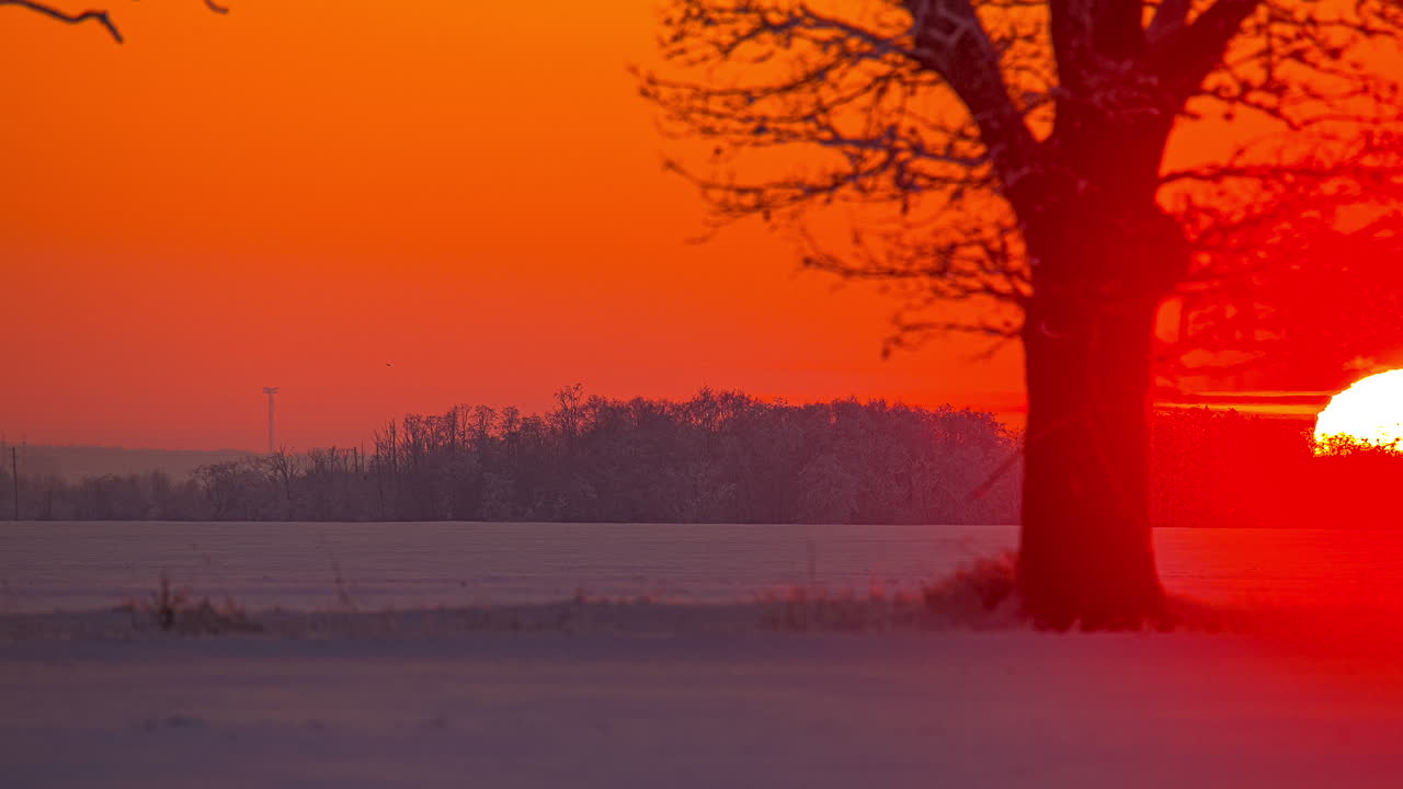 Big Sun Set behind Forest during snowy day in winter with clear sky in the evening,time lapse