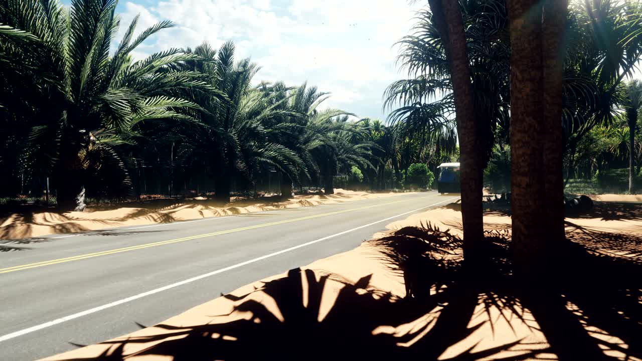 트로피크의 고속도로에서 모래, 모래 언덕과 나무 사이에서 색 관광 버스. 관광과 여행의 개념. 루프 애니메이션.