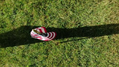 many flags of the usa in green field