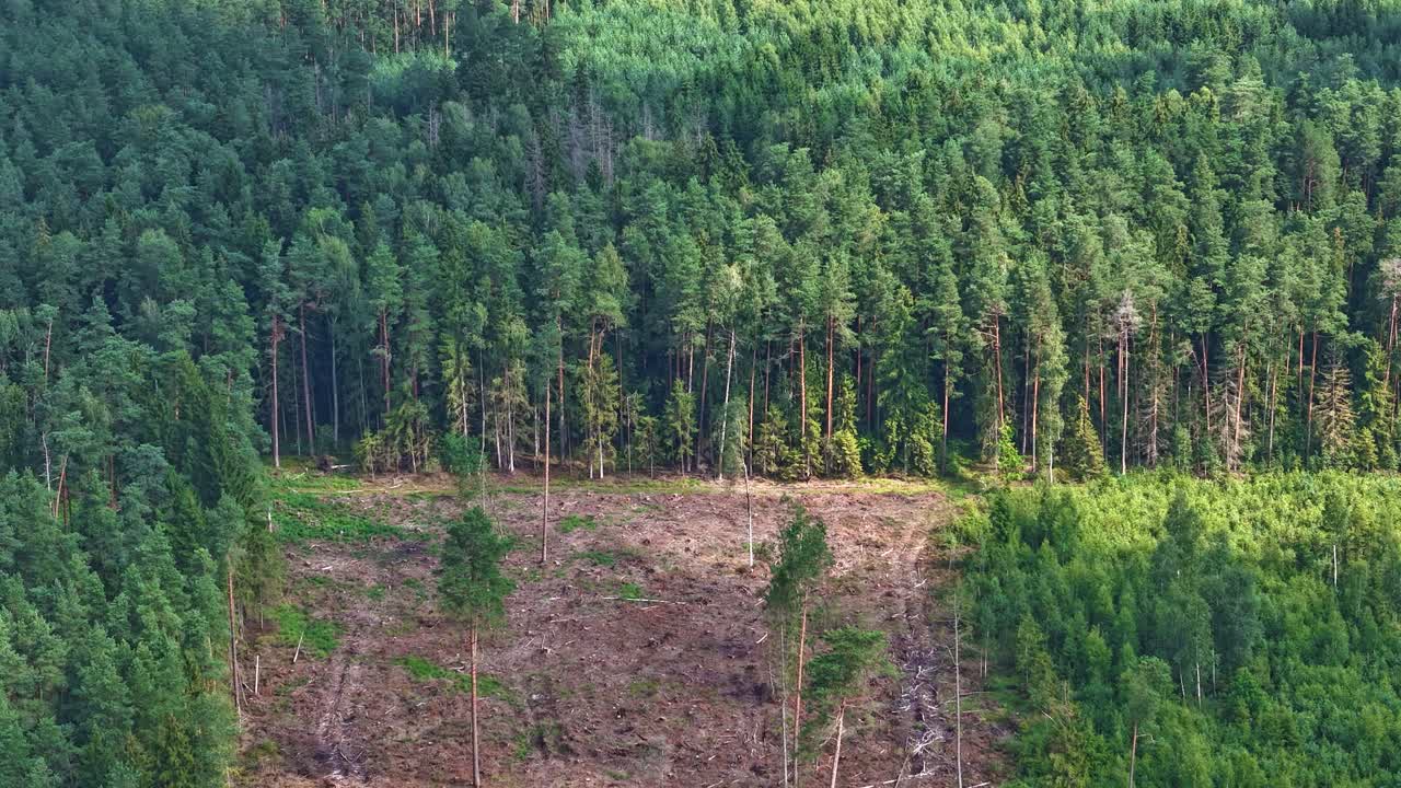 Skyer, der dækker solskin og kaster skygger på grønt skovområde, luftfoto-timelapse