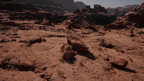 una vista panorámica de un cañón en el desierto