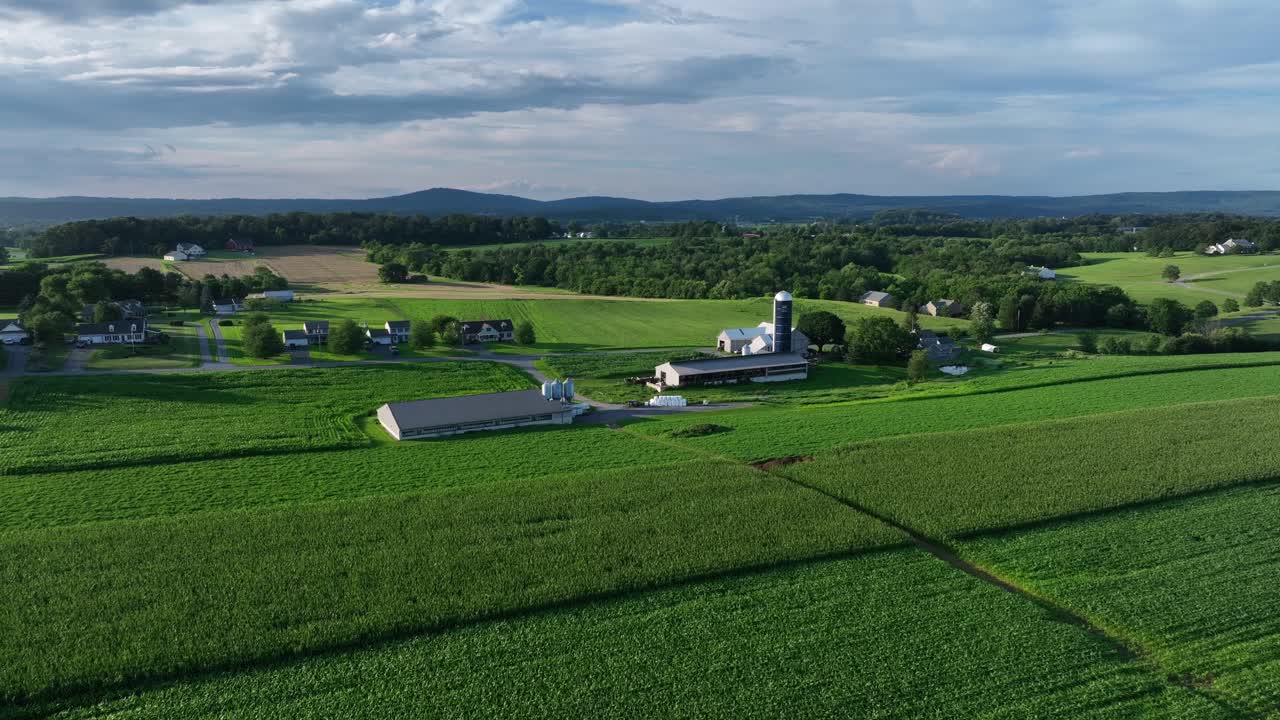 Slow drone flight over cultivated farm fields with farmstead and silo in background. Quiet suburbs of town in USA. Sunset time. Summer season. Approaching shot